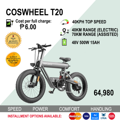 T20 Fat electric bike